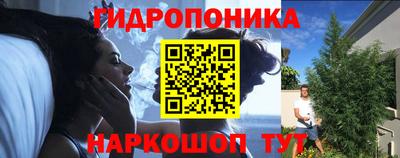 круглые Кингисепп