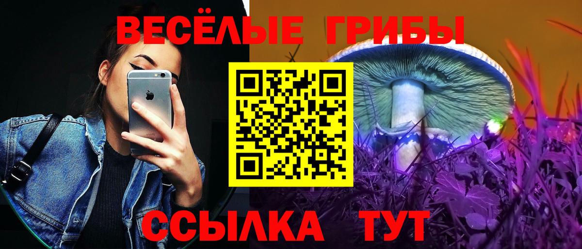 Краснодар  Галлюциногенные грибы мухоморы  купить наркотик  Вход с VPN 